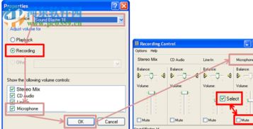 bandicam破解補丁 bandicam破解補丁文件包 2.1.2.740 免費版 河?xùn)|下載站