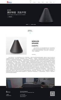 天津網站建設之奔唐網絡數碼科技網站案例